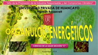 CIENCIAS DE LA SALUD SECCIÓN “C”
UNIVERSIDAD PRIVADA DE HUANCAYO
Franklin Roosevelt
“Año de la Promoción de la Industria Responsable y del Compromiso Climático”
Huancayo -2014
 