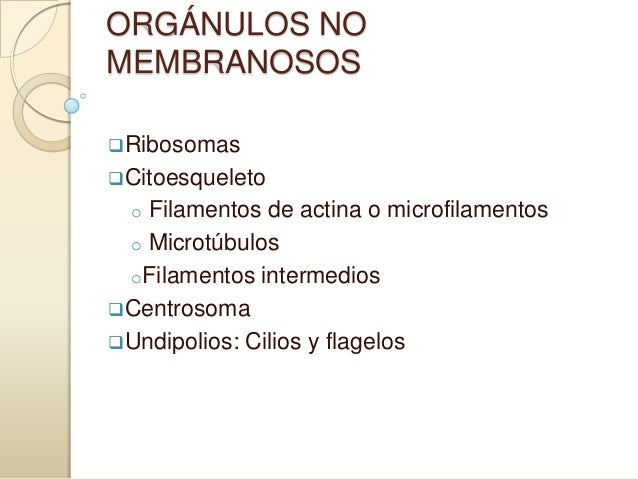 Orgánulos no membranosos