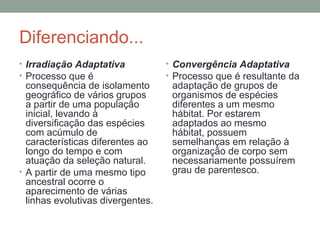 Diferenciando...
• Irradiação Adaptativa
• Processo que é
consequência de isolamento
geográfico de vários grupos
a partir de uma população
inicial, levando à
diversificação das espécies
com acúmulo de
características diferentes ao
longo do tempo e com
atuação da seleção natural.
• A partir de uma mesmo tipo
ancestral ocorre o
aparecimento de várias
linhas evolutivas divergentes.
• Convergência Adaptativa
• Processo que é resultante da
adaptação de grupos de
organismos de espécies
diferentes a um mesmo
hábitat. Por estarem
adaptados ao mesmo
hábitat, possuem
semelhanças em relação à
organização de corpo sem
necessariamente possuírem
grau de parentesco.