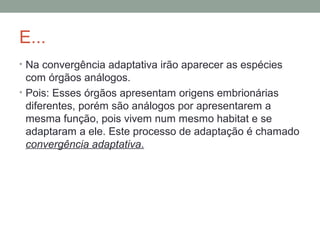 E...
• Na convergência adaptativa irão aparecer as espécies
com órgãos análogos.
• Pois: Esses órgãos apresentam origens embrionárias
diferentes, porém são análogos por apresentarem a
mesma função, pois vivem num mesmo habitat e se
adaptaram a ele. Este processo de adaptação é chamado
convergência adaptativa.