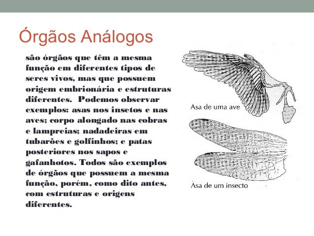 Resultado de imagem para homologos