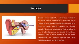 Audição
Quando o som é produzido, a atmosfera é perturbada
por ondas sonoras (compressões e rarefações de ar
criadas por um objeto vibrátil) irradiando-se a partir da
fonte. As ondas sonoras produzem no tímpano
vibrações da mesma frequência da fonte criadora do
som. As vibrações sonoras são levadas da membrana
timpânica para o ouvido interno a fim de serem
transformadas em impulsos nervosos que serão
trabalhados na zona do córtex temporal.
 