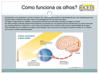 Como funciona os olhos?
Inicialmente, a luz atravessa a córnea e chega a íris, onde a pupila controla a intensidade de luz a ser recebida pelo olho.
Quanto maior a abertura da pupila, maior é a quantidade de luz que entra nos olhos.
A imagem chega então ao cristalino, uma estrutura flexível que acomoda e focaliza a imagem na retina.
Na retina existem diversas células fotorreceptoras que através de uma reação química transformam as ondas luminosas
em impulsos elétricos. A partir daí, o nervo ótico os conduzem até o cérebro, onde ocorre a interpretação da imagem.
Cabe ressaltar que no cristalino a imagem sofre refração, logo, forma-se uma imagem invertida na retina. É no cérebro
que ocorre o correto posicionamento.
 