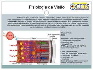 No fundo do globo ocular existe uma área sensível à luz a retina, similar a uma tela onde se projetam as
cores e se produz o foco da imagem de um objeto. Na retina existem as células fotoreceptoras denominadas cones e
bastonetes que enviam ao cérebro, por meios químicos e elétricos os estímulos de luz e cor. Estas células altamente
sofisticadas são especializadas em detectar as longitudes de onda procedentes do entorno, ou seja, transformam em
informações de cor e volumes os diferentes estímulos de luz oferecidos pelos objetos e espaço ao redor. Os cones são
sensíveis às cores; e os bastonetes sensíveis à luz.
Fisiologia da Visão
Célula da Visão
Retina
Bastonetes: (não distingue cores)
(+) numerosos (120 milhões)
(+) sensíveis a luz
(+) fora da fóvea
OPSINA (proteína) + II CIS RETINAL
(ácido retinóico) Vitamina A
Cones: (Percebe cores))
Escala R B G (vermelho, azul e verde
(-) numerosos (6 milhões)
(-) sensíveis a luz
(+) na fóvea
Opsina (proteína) + Retineno (composto
também derivado da vitamina A
 