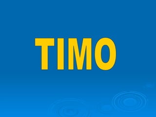 TIMO 