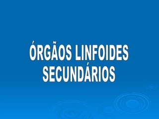 ÓRGÃOS LINFOIDES SECUNDÁRIOS 