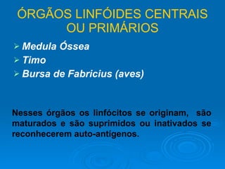 ÓRGÃOS LINFÓIDES CENTRAIS OU PRIMÁRIOS Medula Óssea Timo Bursa de Fabricius (aves) Nesses órgãos os linfócitos se originam,  são maturados e são suprimidos ou inativados se reconhecerem auto-antígenos. 