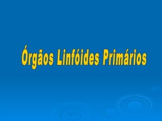 Órgãos Linfóides Primários 