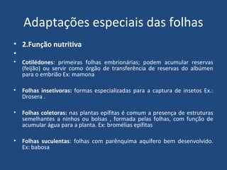 Adaptações especiais das folhas
• 2.Função nutritiva
•
•   Cotilédones: primeiras folhas embrionárias; podem acumular reservas
    (feijão) ou servir como órgão de transferência de reservas do albúmen
    para o embrião Ex: mamona

•   Folhas insetívoras: formas especializadas para a captura de insetos Ex.:
    Drosera .

•   Folhas coletoras: nas plantas epífitas é comum a presença de estruturas
    semelhantes a ninhos ou bolsas , formada pelas folhas, com função de
    acumular água para a planta. Ex: bromélias epífitas

•   Folhas suculentas: folhas com parênquima aquífero bem desenvolvido.
    Ex: babosa
 