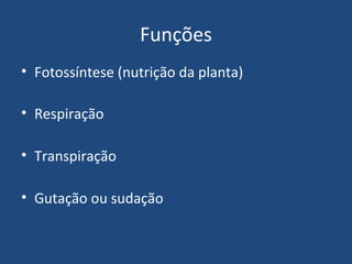 Funções
• Fotossíntese (nutrição da planta)

• Respiração

• Transpiração

• Gutação ou sudação
 