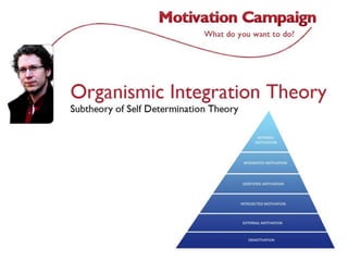 Organismic integrationtheory