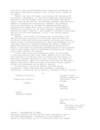 Para evitar que uma determinada parte fique mais estimulada do
que outra, experimente esfregar tanto a haste como a cabeça de
seu pênis.
Toque o seu saco. Se tocar o seu escroto não faz parte de
sua rotina, experimente. Os testículos podem ser especialmente
sensíveis a um leve toque, visto que muitos homens gostam de
puxar a pele de seu escroto. Na verdade, esfregar seus testículos
aumenta a produção de testosterona, somando à sua potência
tanto um crescimento na contagem de espermatozóides quanto
uma melhora na saúde geral (veja o exercício de Massagem dos
Testículos no Capítulo 8). Na seção seguinte, descreveremos a
prática de Puxar o Escroto, o que ajudará a retardar a ejaculação,
mas por ora você deve aprender a tocar o seu escroto apenas
por prazer.
Explore o ponto Rafe. À proporção que se masturba, você
deveria explorar o períneo e o Ponto Rafe (bem em frente de
seu ânus). Pressionar este ponto quando você está para ejacular
ajuda a deter o reflexo ejaculatório. Mas, como dissemos, por ora
você deve aprender a explorá-lo apenas por prazer. Também, ao
pressionar este ponto causará uma retenção de sangue em seu
pênis, o que produz uma pulsação agradabilíssima. A forte pressão
rítmica aqui também imita as contrações da próstata que acompa-
nham a fase contrátil do orgasmo.
O Ponto Rafe é mais bem estimulado quando há uma ereção
e você está bem excitado, quer dizer, quando todo o seu corpo
está excitado e intumecido tanto na frente como nas costas. Se
não sentir qualquer sensação ou, pelo contrário, até mesmo um
certo desconforto, espere até ficar mais excitado. Se não quiser
aquecer este ponto como uma região de estímulo sexual, poderá
voltar a se concentrar em seu pênis e escroto.
Vá com calma. A partir do momento que você tem de
aproveitar o tempo disponível para aprender a prolongar a
ejaculação, é essencial não se apressar. Hartman e Fithian relatam:
74
Glãndula Pituitária Glãndula Pineal
Glãndula Supra-renal
Glãndula da Próstata (Ad-renal), timo
Coração
Pulmões
Baço
Estõmago
Pãncreas
Fígado
Intestino Delgado
Intestino Grosso
Rins
Bexiga
Testículos que estão
conectados a todas
as glãndulas
FIGURA 7. REFLEXOLOGIA DO PÉNIS
"Em nosso trabalho, em mais de cem casos, descobrimos que se
um homem pode aprender a estender-se na masturbação, ou
apenas se acariciando, de 15 a 20 minutos, então, ele também
 