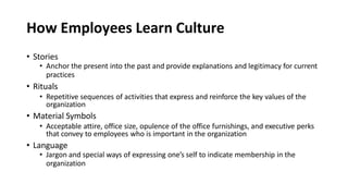 How Employees Learn Culture
• Stories
• Anchor the present into the past and provide explanations and legitimacy for current
practices
• Rituals
• Repetitive sequences of activities that express and reinforce the key values of the
organization
• Material Symbols
• Acceptable attire, office size, opulence of the office furnishings, and executive perks
that convey to employees who is important in the organization
• Language
• Jargon and special ways of expressing one’s self to indicate membership in the
organization
 
