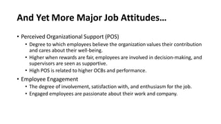 And Yet More Major Job Attitudes…
• Perceived Organizational Support (POS)
• Degree to which employees believe the organization values their contribution
and cares about their well-being.
• Higher when rewards are fair, employees are involved in decision-making, and
supervisors are seen as supportive.
• High POS is related to higher OCBs and performance.
• Employee Engagement
• The degree of involvement, satisfaction with, and enthusiasm for the job.
• Engaged employees are passionate about their work and company.
 