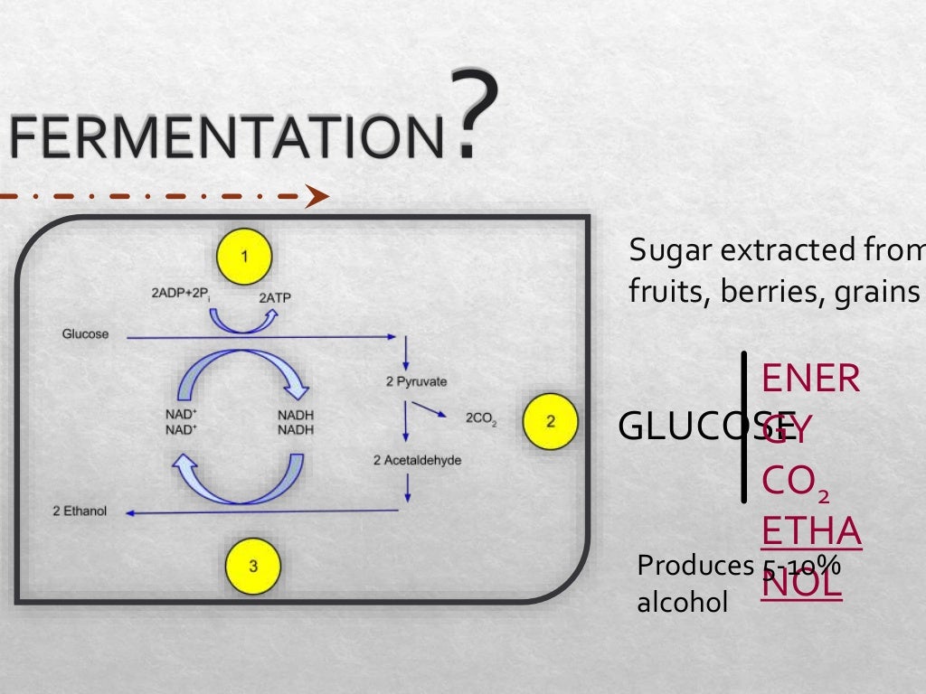 Experiment 1 Distillation of Alcoholic Beverages
