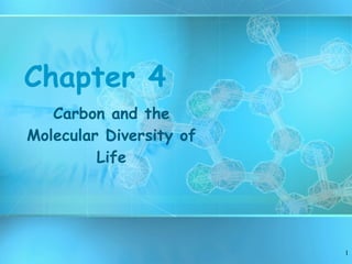 Chapter 4 Carbon and the Molecular Diversity of Life 