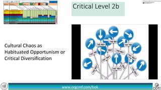 www.orgcmf.com/bok
Cultural Chaos as
Habituated Opportunism or
Critical Diversification
Critical Level 2b
 