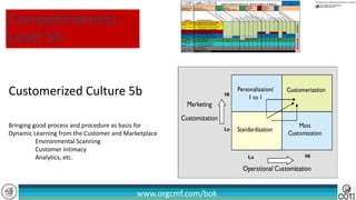 www.orgcmf.com/bok
Customerized Culture 5b
Competitiveness
Level 5b
Bringing good process and procedure as basis for
Dynamic Learning from the Customer and Marketplace
Environmental Scanning
Customer Intimacy
Analytics, etc.
 