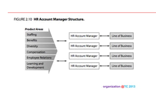 organization @TC 2013 	

 