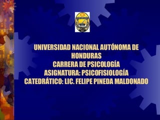 UNIVERSIDAD NACIONAL AUTÓNOMA DE HONDURAS CARRERA DE PSICOLOGÍA ASIGNATURA: PSICOFISIOLOGÍA CATEDRÁTICO: LIC. FELIPE PINEDA MALDONADO 