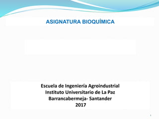 1
ASIGNATURA BIOQUÍMICA
Escuela de Ingeniería Agroindustrial
Instituto Universitario de La Paz
Barrancabermeja- Santander
2017
 