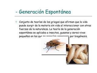 - Generación Espontánea   Conjunto de teorías de los griegos que afirman que la vida puede surgir de la materia sin vida al interaccionar con otras fuerzas de la naturaleza. La teoría de la generación espontánea se aplicaba a insectos, gusanos y seres vivos pequeños en los que no parecían generarse por biogénesis. 