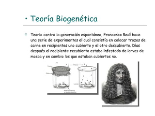 •  Teoría Biogenética   Teoría contra la generación espontánea, Francesco Redí hace una serie de experimentos el cual consistía en colocar trozos de carne en recipientes uno cubierto y el otro descubierto. Días  después el recipiente recubierto estaba infestado de larvas de mosca y en cambio los que estaban cubiertos no.   