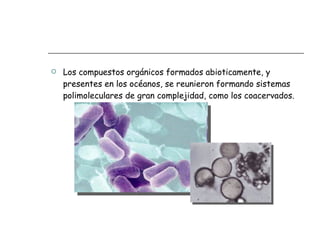 Los compuestos orgánicos formados abioticamente, y presentes en los océanos, se reunieron formando sistemas polimoleculares de gran complejidad, como los coacervados.  
