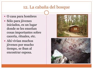 12. La cabaña del bosque

 O casa para hombres
 Sólo para jóvenes
  iniciados, es un lugar
  donde se les enseñan
  cosas importantes sobre
  cacería, rituales, etc.
 Ahí vivían muchos
  jóvenes por mucho
  tiempo, se iban al
  encontrar esposa.
 
