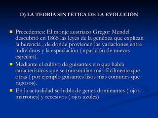 D) LA TEORÍA SINTÉTICA DE LA EVOLUCIÓN Precedentes: El monje austriaco Gregor Mendel descubrió en 1865 las leyes de la genética que explican la herencia , de donde provienen las variaciones entre individuos y la especiación ( aparición de nuevas especies). Mediante el cultivo de guisantes vio que había características que se transmitían más fácilmente que otras ( por ejemplo guisantes lisos más comunes que rugosos). En la actualidad se habla de genes dominantes ( ojos marrones) y recesivos ( ojos azules) 