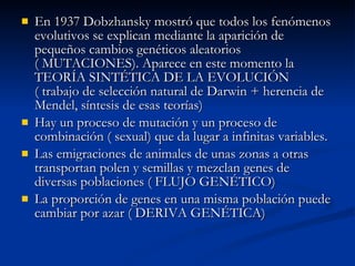 En 1937 Dobzhansky mostró que todos los fenómenos evolutivos se explican mediante la aparición de pequeños cambios genéticos aleatorios ( MUTACIONES). Aparece en este momento la TEORÍA SINTÉTICA DE LA EVOLUCIÓN ( trabajo de selección natural de Darwin + herencia de Mendel, síntesis de esas teorías) Hay un proceso de mutación y un proceso de combinación ( sexual) que da lugar a infinitas variables. Las emigraciones de animales de unas zonas a otras transportan polen y semillas y mezclan genes de diversas poblaciones ( FLUJO GENÉTICO) La proporción de genes en una misma población puede cambiar por azar ( DERIVA GENÉTICA) 