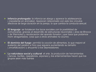 Infancia prolongada : la infancia se alarga y aparece la adolescencia ( inexistente en animales). Aparecen relacionado con esto los vínculos afectivos de larga duración en la pareja, lo que cambia la conducta sexual. El lenguaje : se fortalecen los lazos sociales con la posibilidad de comunicarse, gracias al desarrollo de estructuras neuronales ( área de Brocca y de Wernicke) y recolocación del aparato fonador ( que hace que podamos morir atragantados, cosa que a otros animales no ocurre). El dominio del fuego : permitió la cocción de alimentos, lo que mejoró el sustento del cerebro e hizo que siguiera aumentando su tamaño ( encefalización) y ahuyentó a los depredadores. La naturaleza social y cultural : el arte, la producción de herramientas ( lanzas, buriles, raspadores, arpones) y los enterramientos hacen que los grupos sean más fuertes 