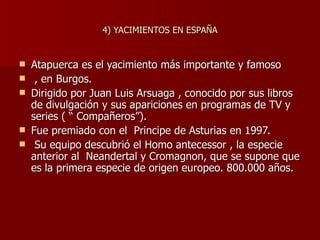 4) YACIMIENTOS EN ESPAÑA Atapuerca es el yacimiento más importante y famoso , en Burgos. Dirigido por Juan Luis Arsuaga , conocido por sus libros de divulgación y sus apariciones en programas de TV y series ( “ Compañeros”).  Fue premiado con el  Principe de Asturias en 1997. Su equipo descubrió el Homo antecessor , la especie anterior al  Neandertal y Cromagnon, que se supone que es la primera especie de origen europeo. 800.000 años. 