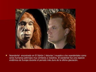 Neandertal  encontrado en El Sidrón ( Asturias ) muestra a los neandertales como seres humanos pelirrojos muy similares a nosotros. El eandertal fue una especie endémica de Europa durante el periodo más duro de la última glaciación.  
