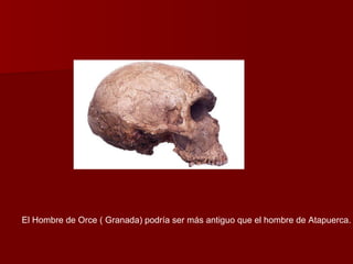 El Hombre de Orce ( Granada) podría ser más antiguo que el hombre de Atapuerca. 