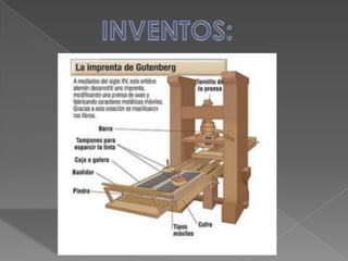 Orígenes  y causas del renacimiento