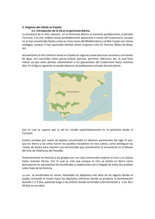 3. Orígenes del viñedo en España. 
3.1. Introducción de la vid en la península ibérica. 
La presencia de la Vitis silvestris en la Península Ibérica se remonta posiblemente al periodo 
Terciario, y la vitis vinífera actual probablemente apareciera a inicios del Cuaternario, aunque 
no se han encontrado fósiles como en otras zonas del Mediterráneo y el Mar Caspio con climas 
análogos, aunque sí han aparecido familias afines al genero vitis en Tortosa, Baños de Mula, 
etc. 
Actualmente la vitis silvestris existe en España en algunas zonas boscosas cercanas a corrientes 
de agua, son conocidas como parras bravas, parrizas, parrones, labruscas, etc, lo cual hace 
indicar ya que estas plantas sobrevivieran a las glaciaciones del Cuaternario hasta nuestros 
días. En la figura siguiente se puede observar las poblaciones actuales de esta planta. 
Con lo cual se supone que la vid ha crecido espontáneamente en la península desde el 
Terciario. 
Existen pruebas por restos de pepitas encontrados en diversos yacimientos del siglo III ane, 
que los iberos y los celtas fueron los pueblos iniciadores en este cultivo, como atestiguan las 
ruedas de piedra para exprimir uva encontradas que actualmente se encuentran en el Museo 
del Vino de Villafranca del Penedés. 
Posteriormente los fenicios y los griegos con sus rutas comerciales trajeron el vino y su cultura 
hasta nuestras tierras. Con lo cual se cree que aunque el vino ya existía en Iberia como 
demuestran los yacimientos fue tecnificada su elaboración con la llegada de estos dos pueblos 
sobre todo de los fenicios. 
La uva se vendimiaba en cestas, llevándola los depósitos más altos de los lagares donde se 
pisaba corriendo el mosto hacia los depósitos inferiores donde se producía la fermentación 
durante 2 o 3 días, pasando luego a las ánforas donde terminaba la fermentación y a los 30 o 
40 días se cerraban. 
 