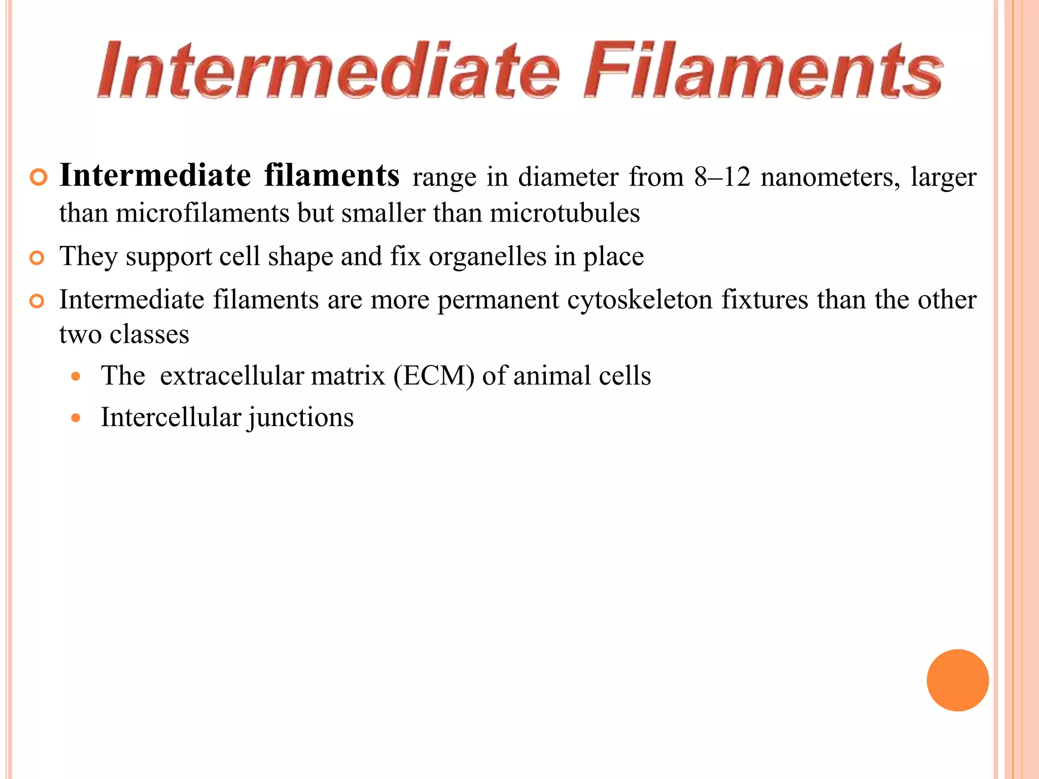  Intermediate filaments range in diameter from 8–12 nanometers, larger
than microfilaments but smaller than microtubules
 They support cell shape and fix organelles in place
 Intermediate filaments are more permanent cytoskeleton fixtures than the other
two classes
 The extracellular matrix (ECM) of animal cells
 Intercellular junctions
 