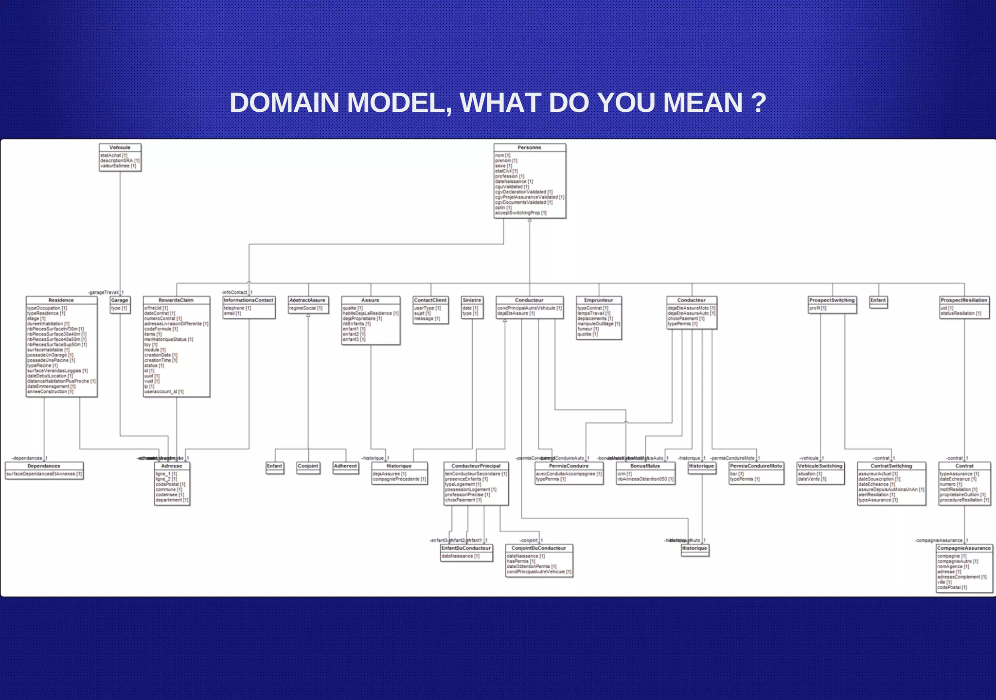 DOMAIN MODEL, WHAT DO YOU MEAN ?
 
