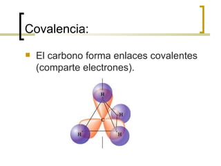 Covalencia: El carbono forma enlaces covalentes (comparte electrones). 