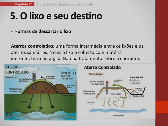 Capítulo 11: A química orgânica e o ambiente