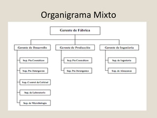 Organigrama Mixto 
 