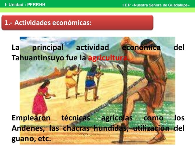 Orgnización económica