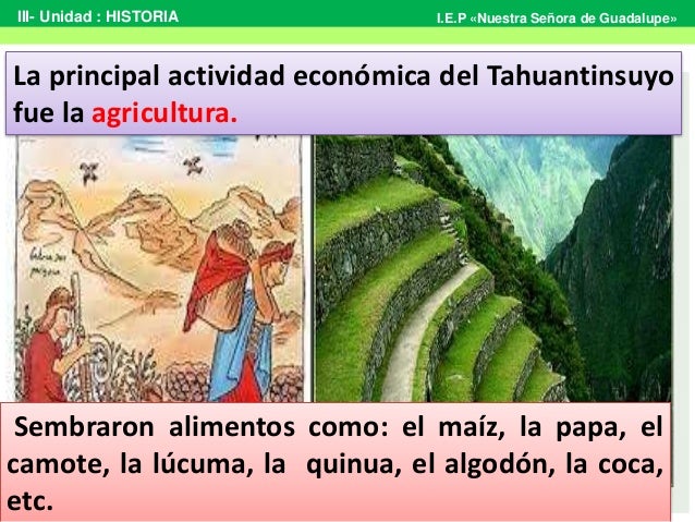 Qué Actividades Económicas Se Practicaban En El Tahuantinsuyo