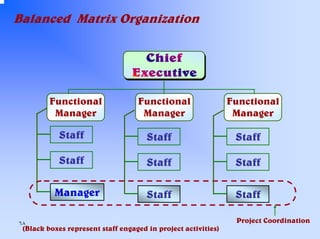 Balanced Matrix Organization

Functional
Manager

Functional
Manager

Functional
Manager

Staff

Staff

Staff

Staff

Staff

Staff

Staff

Staff

Manager
٦٨

(Black boxes represent staff engaged in project activities)

Project Coordination

 