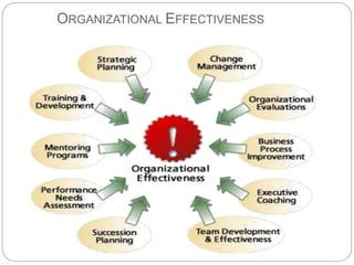 ORGANIZATIONAL EFFECTIVENESS
 