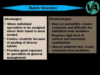 Organizational Structures