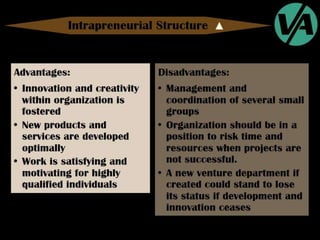 Organizational Structures