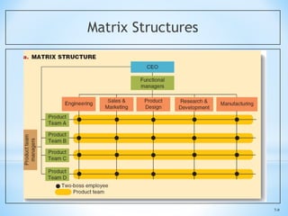 Orgn Structure | PDF