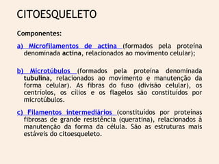 Componentes:
a) Microfilamentos de actina (formados pela proteína
denominada actina, relacionados ao movimento celular);
b) Microtúbulos (formados pela proteína denominada
tubulina, relacionados ao movimento e manutenção da
forma celular). As fibras do fuso (divisão celular), os
centríolos, os cílios e os flagelos são constituídos por
microtúbulos.
c) Filamentos intermediários (constituídos por proteínas
fibrosas de grande resistência (queratina), relacionados à
manutenção da forma da célula. São as estruturas mais
estáveis do citoesqueleto.
CITOESQUELETO
 
